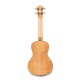 Lanikai FM-C Flame Maple Concert Ukulele