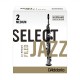 Rico Jazz Select RSF10SSX2M Soprano Saksafon Kamışı No:2 Medium