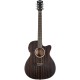 Washburn DFEACE Deep Forest Ebony Ace Elektro Akustik Gitar